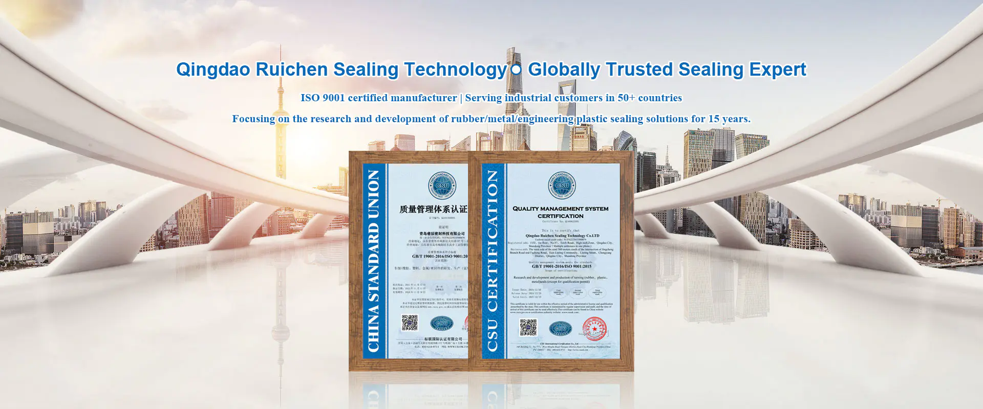 Producător de piese de etanșare din China