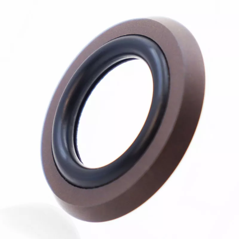Etanșare combinată de tip picior axial